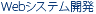 Webシステム開発